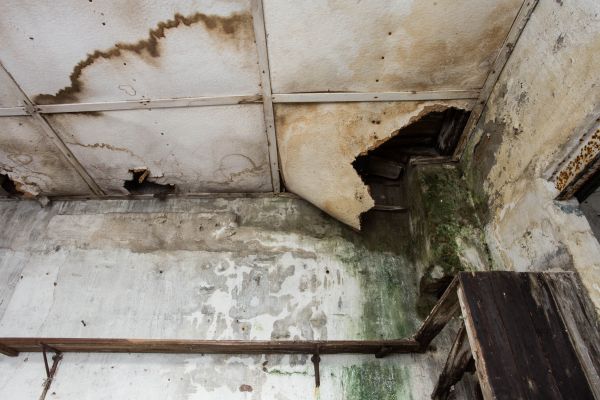 Water Damage Service in Citrus Heights
