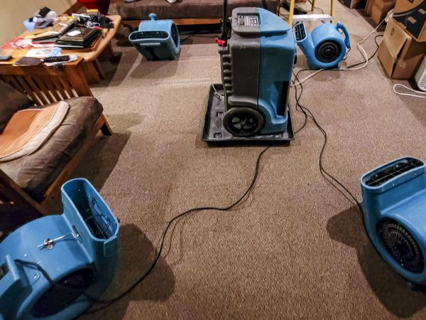 Cost of Flood Damage Recovery in Citrus Heights