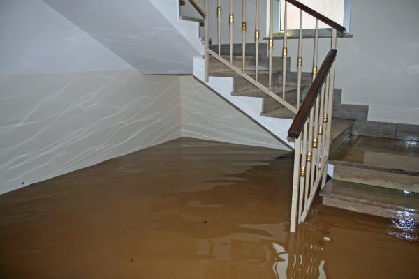 Storm Damage Restoration in Citrus Heights