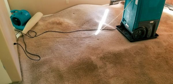 Flood Damage Cleanup in Citrus Heights