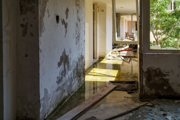 Water Removal Service in Citrus Heights