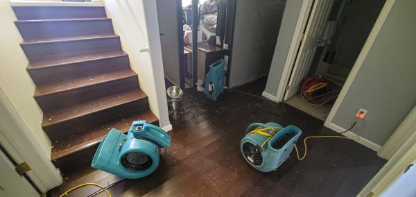 Water Damage Remediation in Citrus Heights
