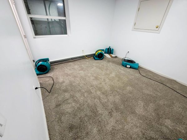 Flood Restoration Service in Citrus Heights