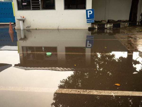 Storm Damage Repair in Citrus Heights