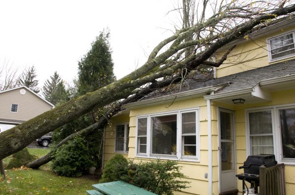 Hurricane Damage Repair in Citrus Heights